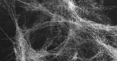 Dark Web demistyfikowany - co to jest i czy warto się bać
